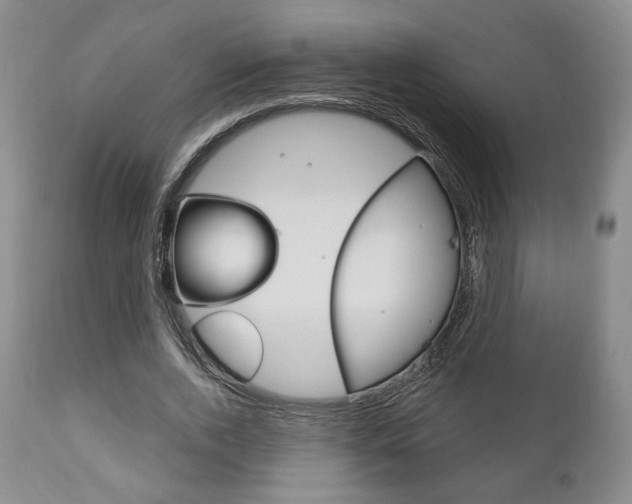 X0000111170728200907011007