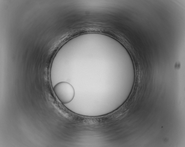 X0000111170729200907011007