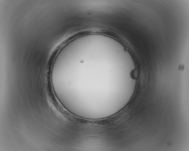 X0000111170730200907011007