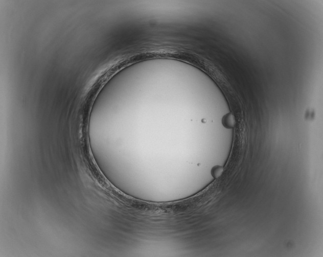 X0000111170731200907011007