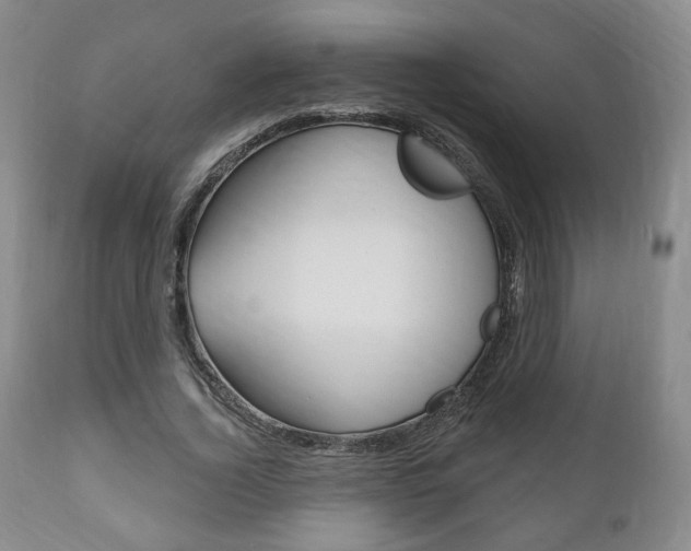 X0000111170732200907011007