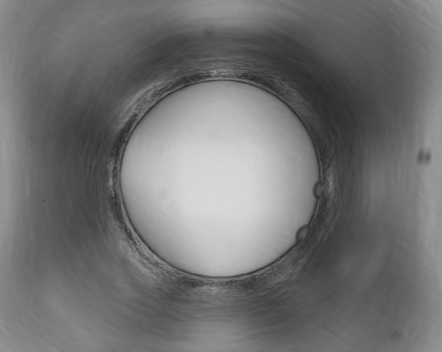 X0000111170733200907011007