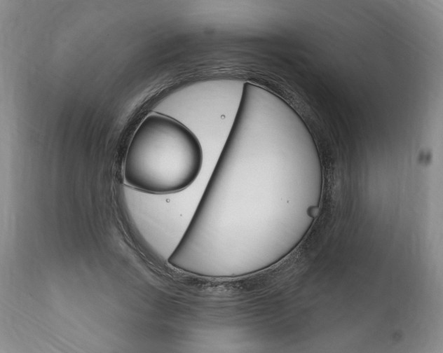 X0000111170735200907011007