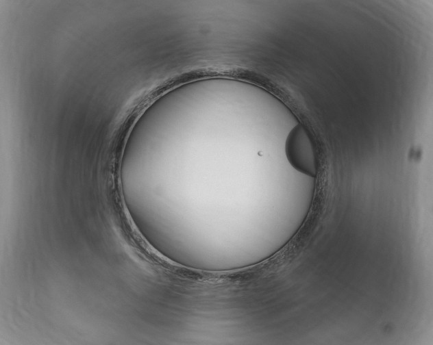 X0000111170736200907011007