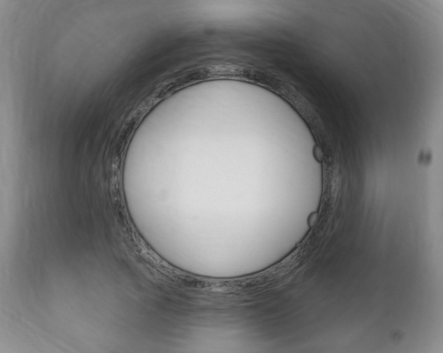 X0000111170737200907011007