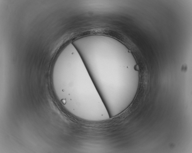 X0000111170738200907011007