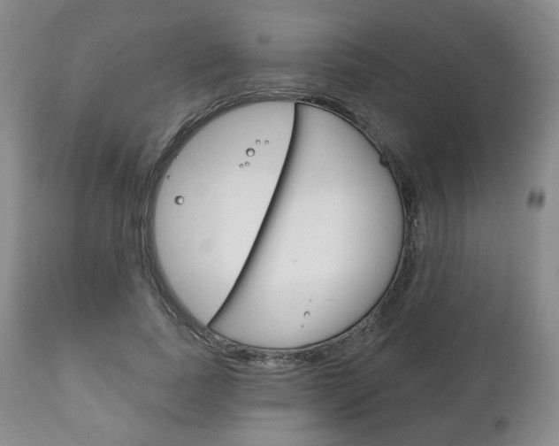 X0000111170739200907011007