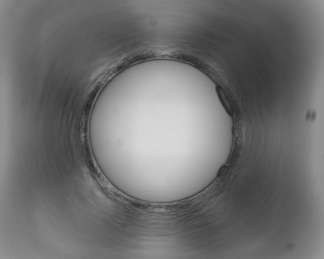 X0000111170740200907011007