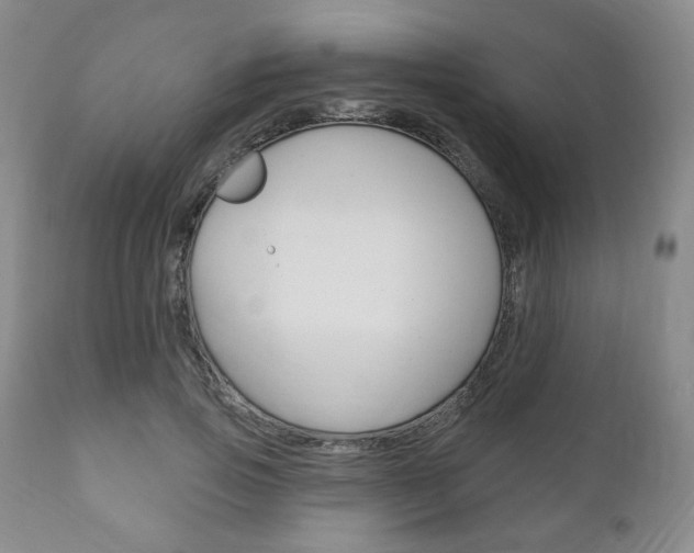 X0000111170741200907011007