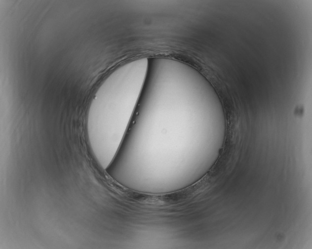 X0000111170747200907011008