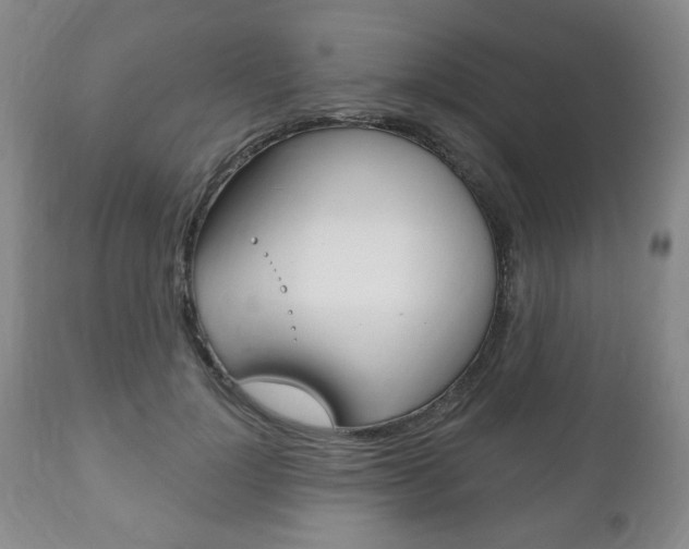 X0000111170748200907011008