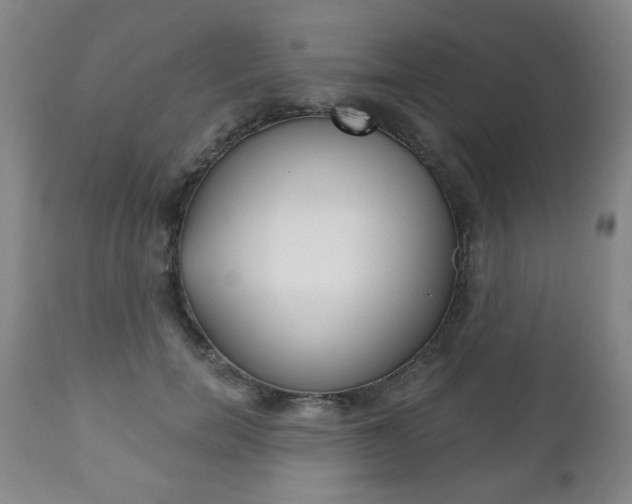X0000111170750200907011008