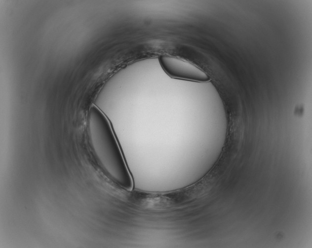 X0000111170752200907011008