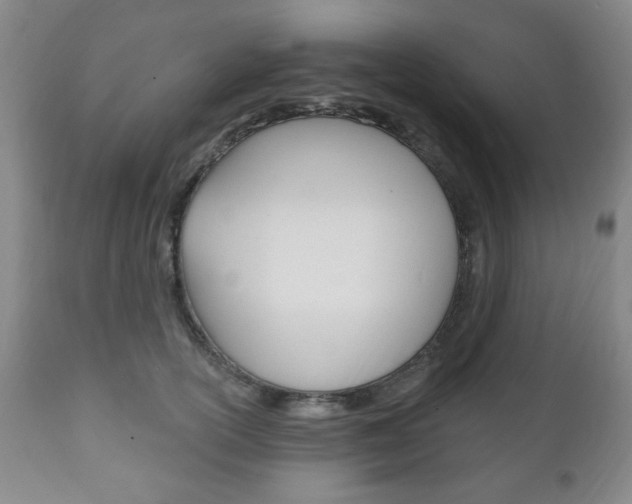 X0000111170754200907011008