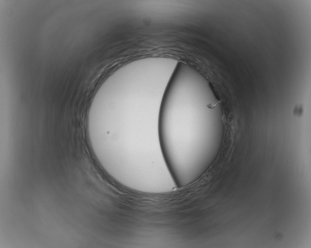 X0000111170756200907011008