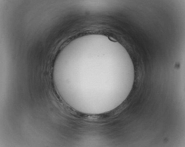 X0000111170758200907011008