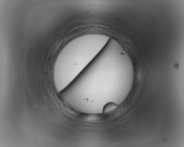 X0000111170759200907011008
