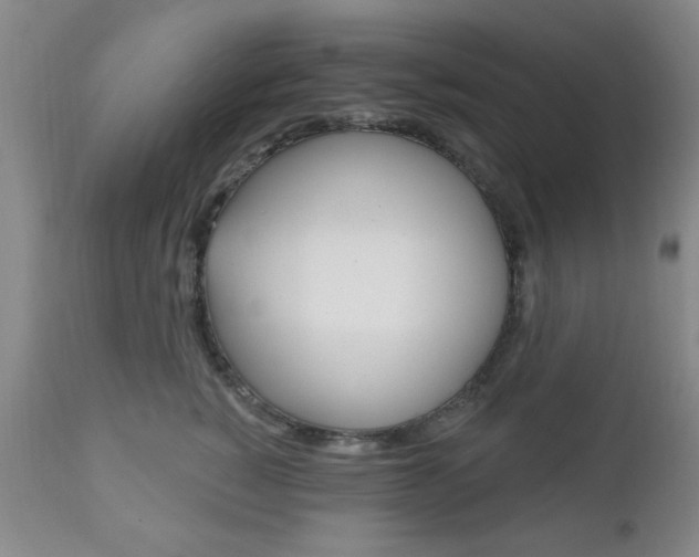 X0000111170760200907011008