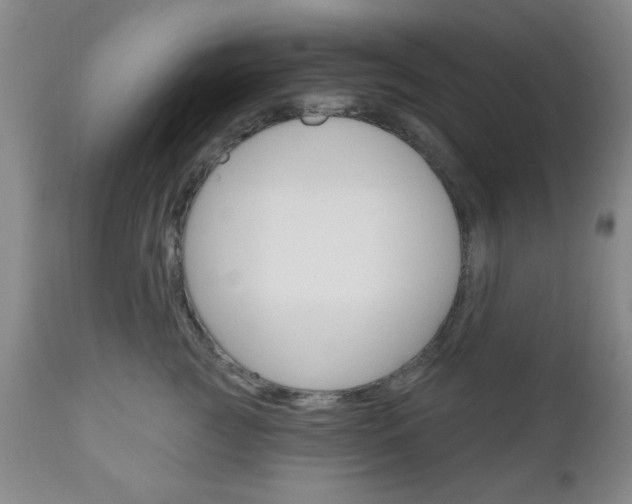 X0000111170761200907011008
