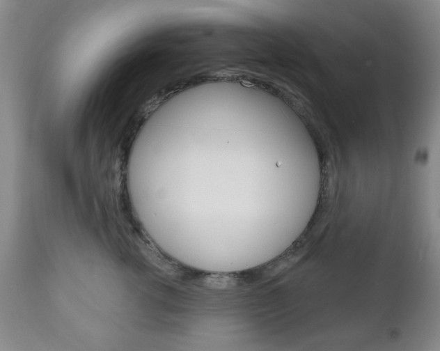 X0000111170762200907011008