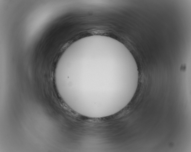 X0000111170763200907011008