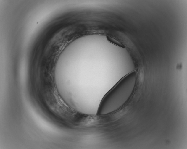 X0000111170764200907011008