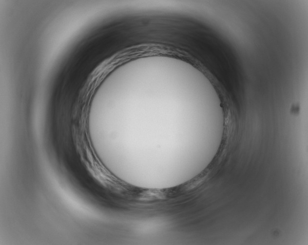 X0000111170765200907011008