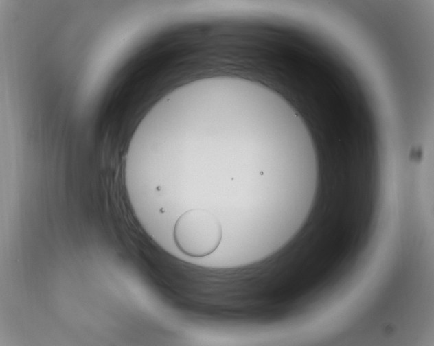 X0000111170766200907011008