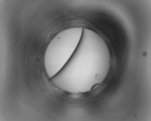 X0000111170767200907011008