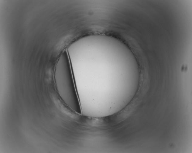 X0000111170768200907011008