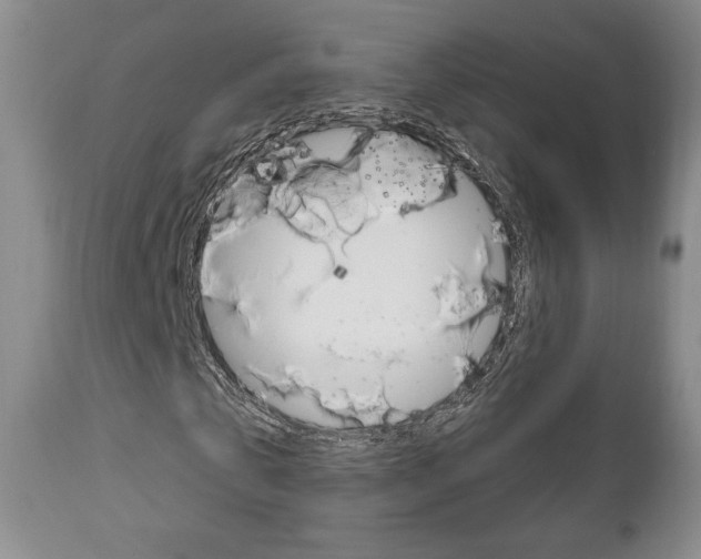 X0000111170769200907011007
