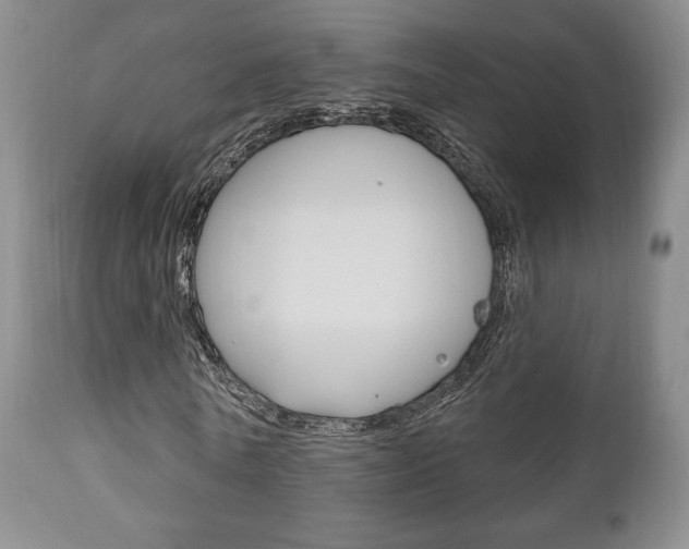X0000111170770200907011007
