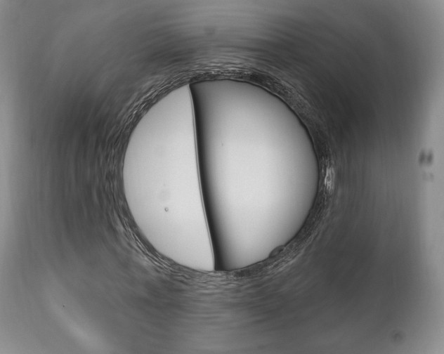 X0000111170771200907011007