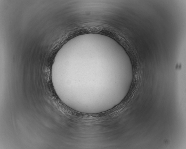 X0000111170772200907011007