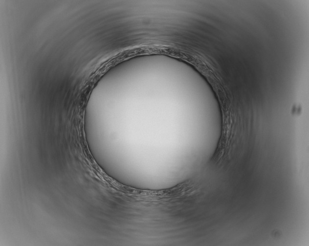 X0000111170773200907011007
