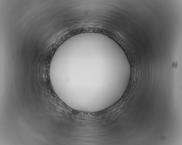 X0000111170774200907011007