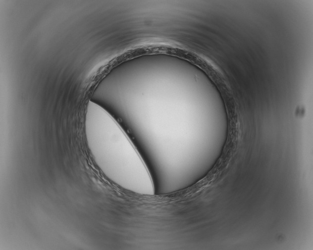 X0000111170775200907011007