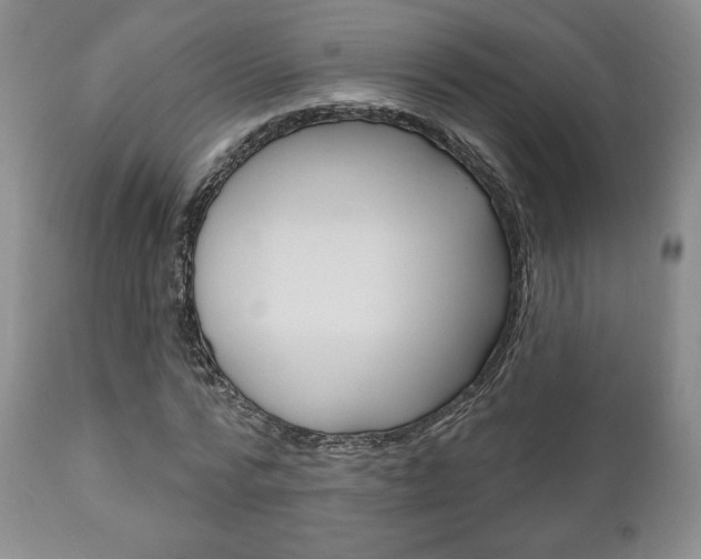 X0000111170776200907011007