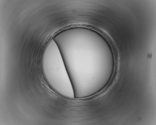 X0000111170777200907011007