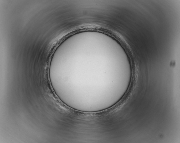 X0000111170778200907011007