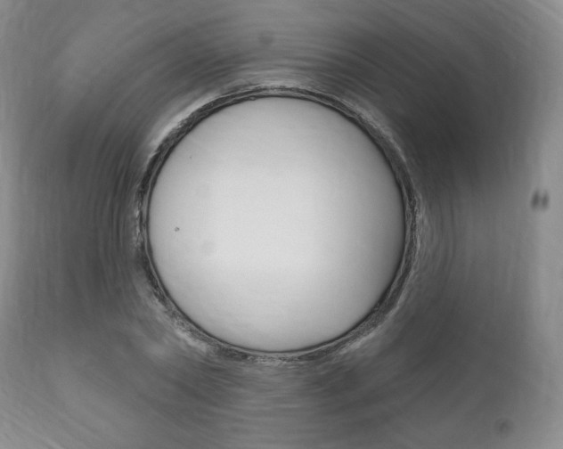 X0000111170782200907011007