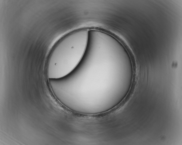 X0000111170783200907011007