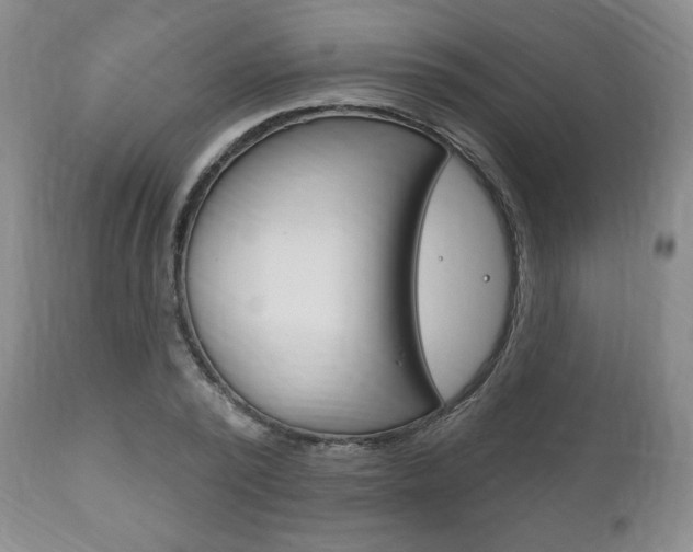 X0000111170784200907011007