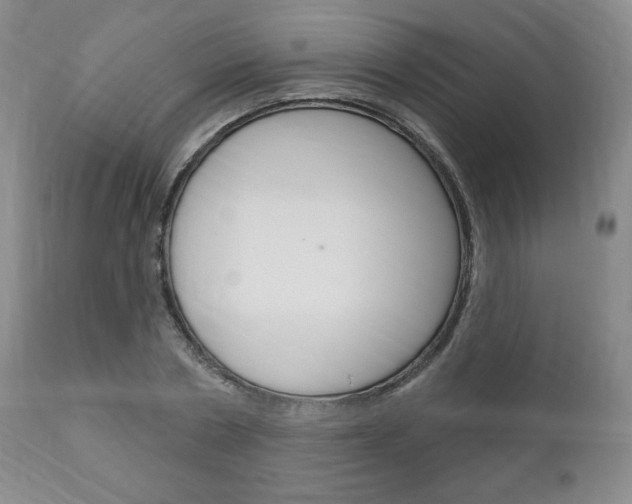 X0000111170786200907011007
