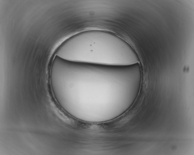 X0000111170787200907011007