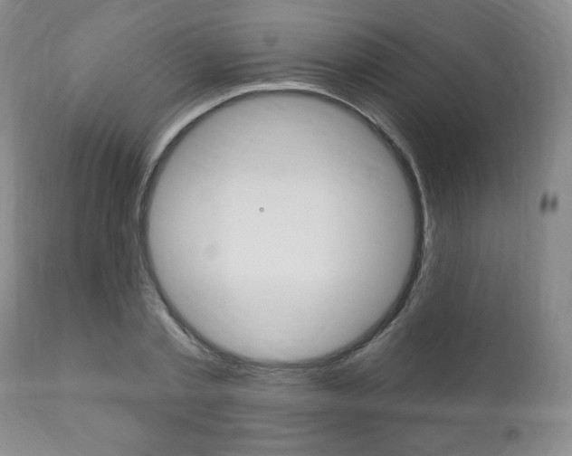 X0000111170789200907011007