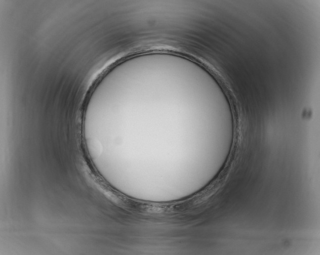 X0000111170790200907011007