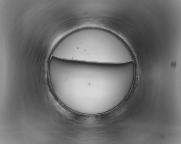 X0000111170791200907011007