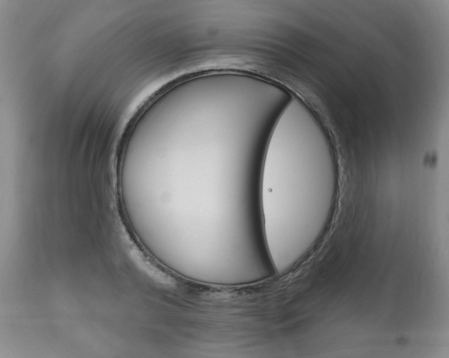 X0000111170792200907011007
