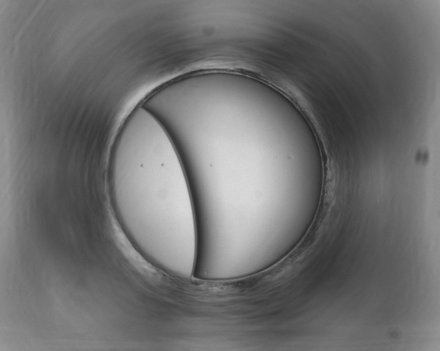 X0000111170795200907011007